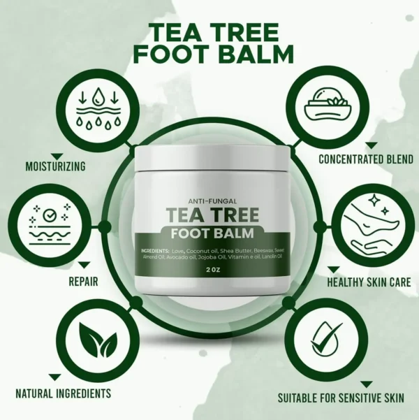 Handmade Tea Tree Salve - Foot Care, Hydrate, Antibacterial - 2 oz