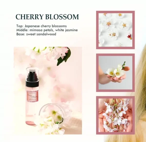 Clean Fragrance Spray for Women, Pack of 3, Cherry Blossom
