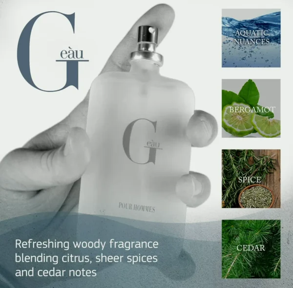 PB Designer Fragrance Spray, 3.4 Fl Oz