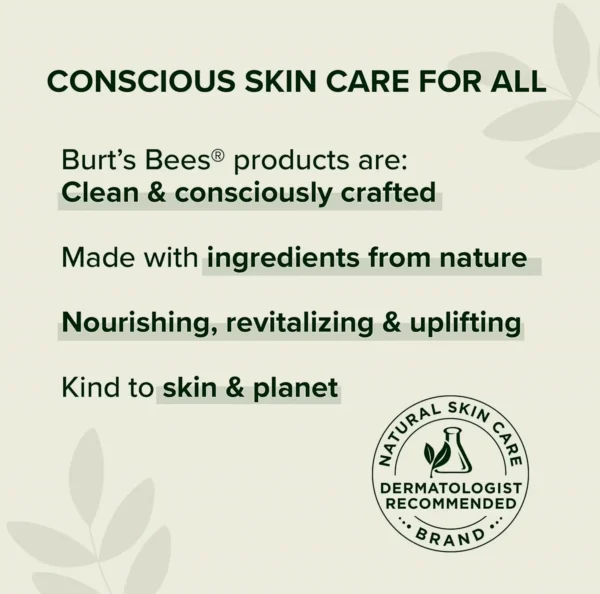 Burts Bees Honey & Grapeseed Hand Cream, 2.6 Oz