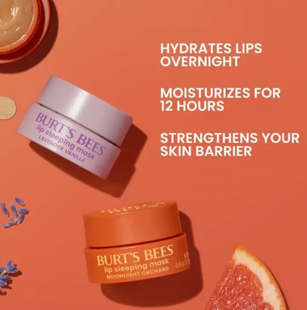 Burt's Bees Lavender-scented Vanilla Overnight Lips Mask, 0.45 oz